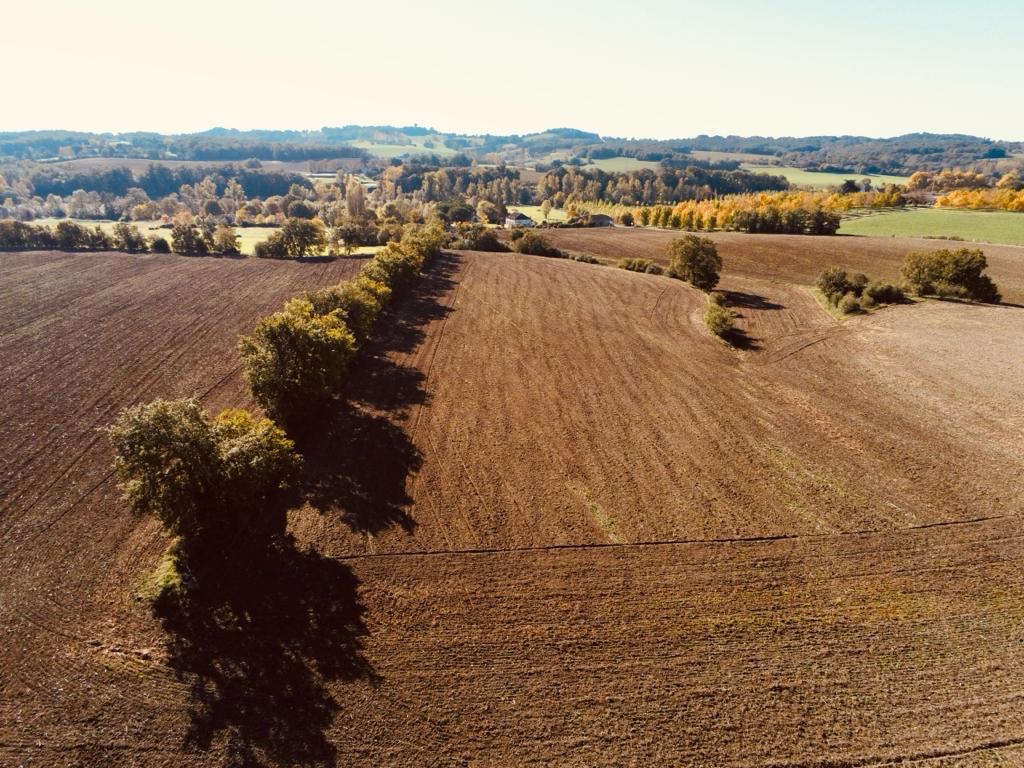 Champs agricoles
